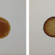 A wet coffee drop (left) and the dried coffee ring (right). (Image: Baiou Shi)